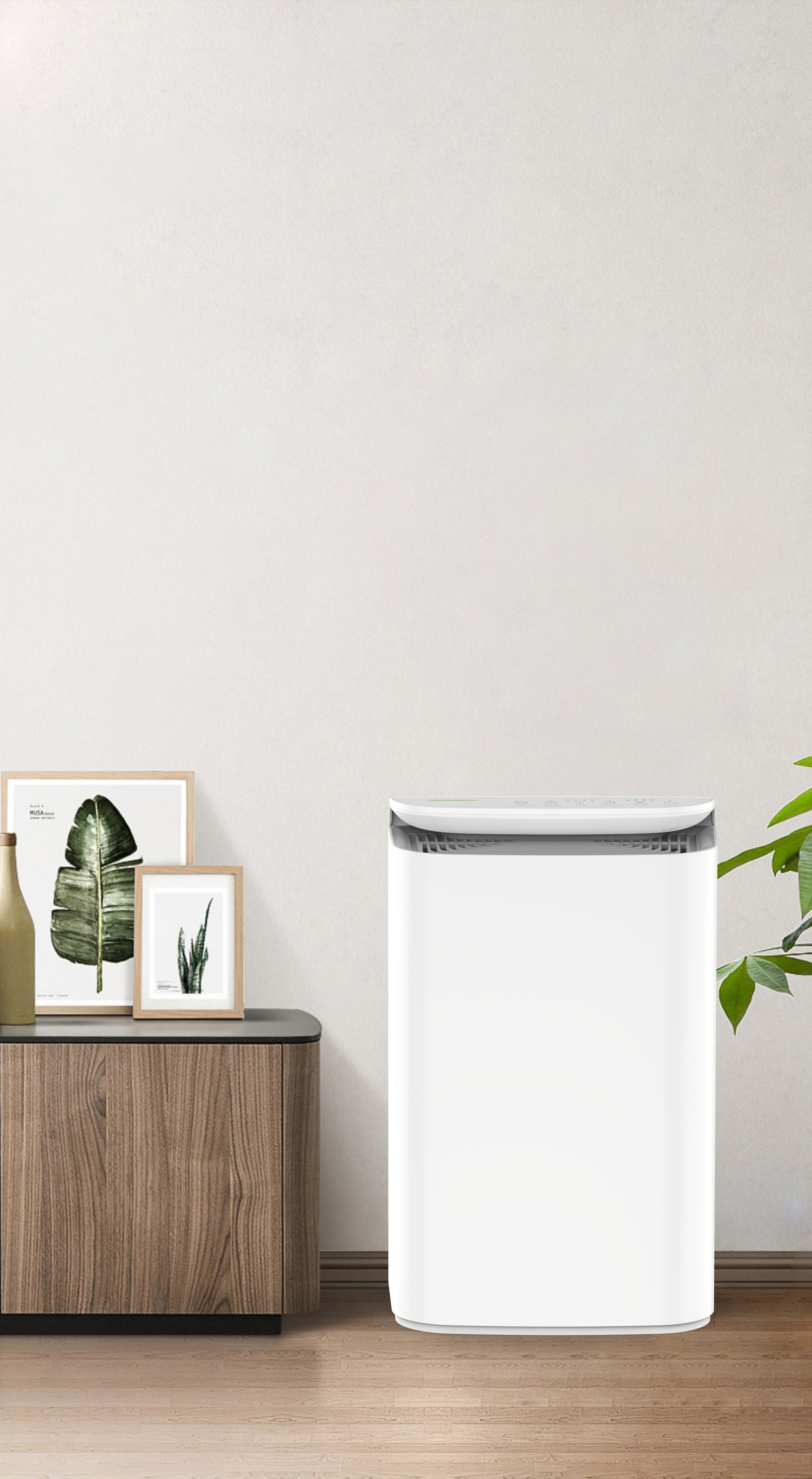 Uppgradera anjonstekniken Fresh Breath of the Forest BKJ-16B