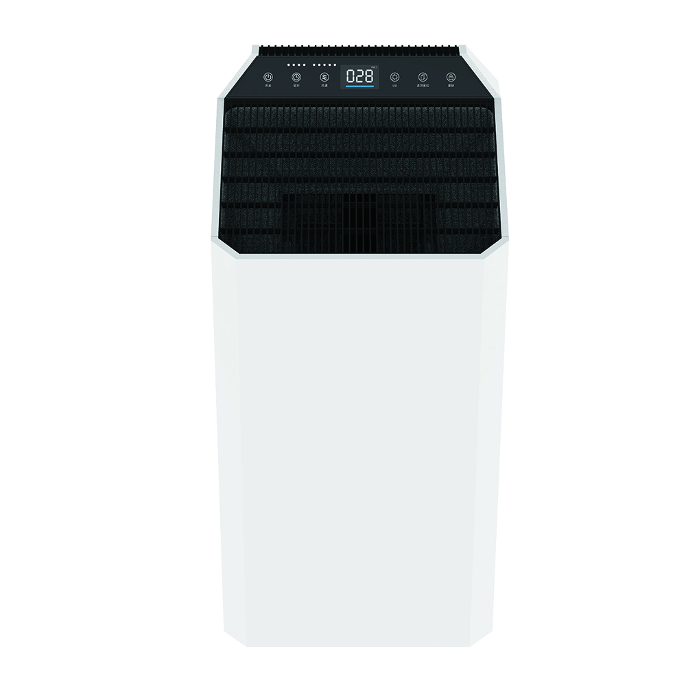 Ta bort formaldehyd bäst, njut av frisk luft mest BKJ-90C