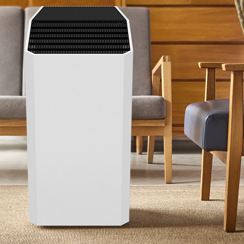 Ta bort formaldehyd bäst, njut av frisk luft mest BKJ-90C